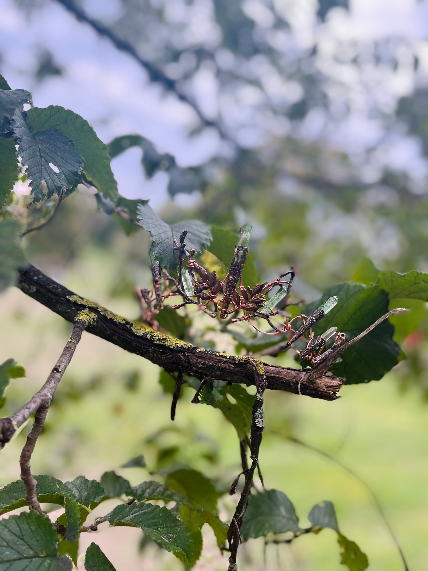 The Verdant Indie Crown