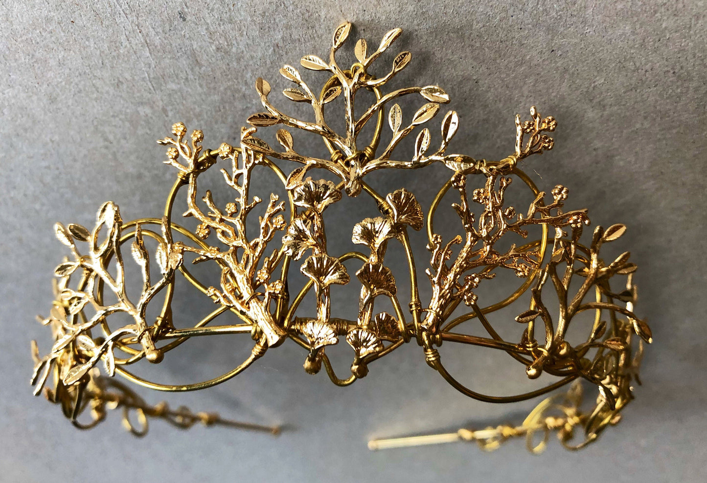 The VEDA Crown