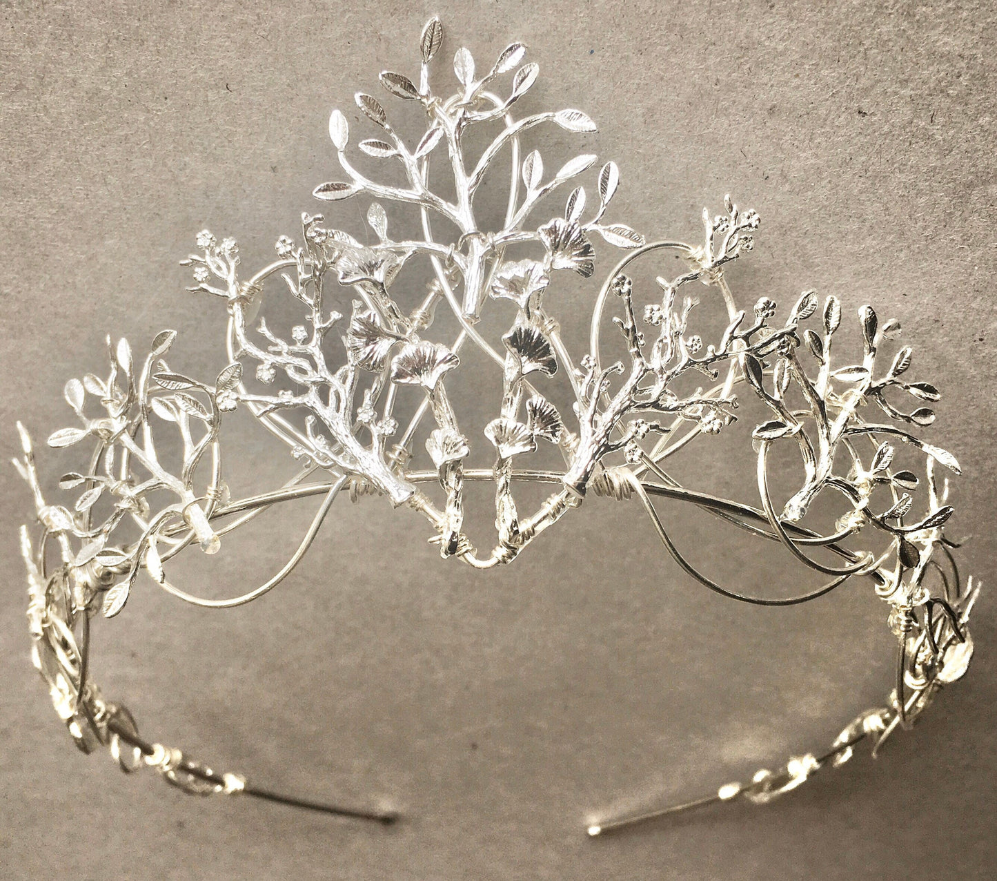 The VEDA Crown