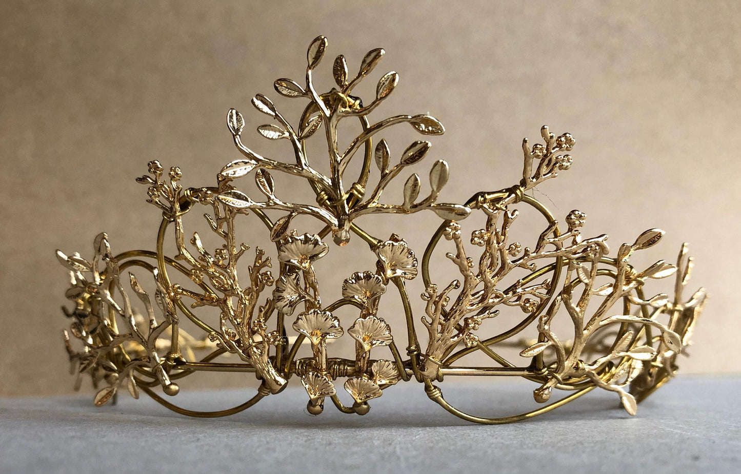 The VEDA Crown