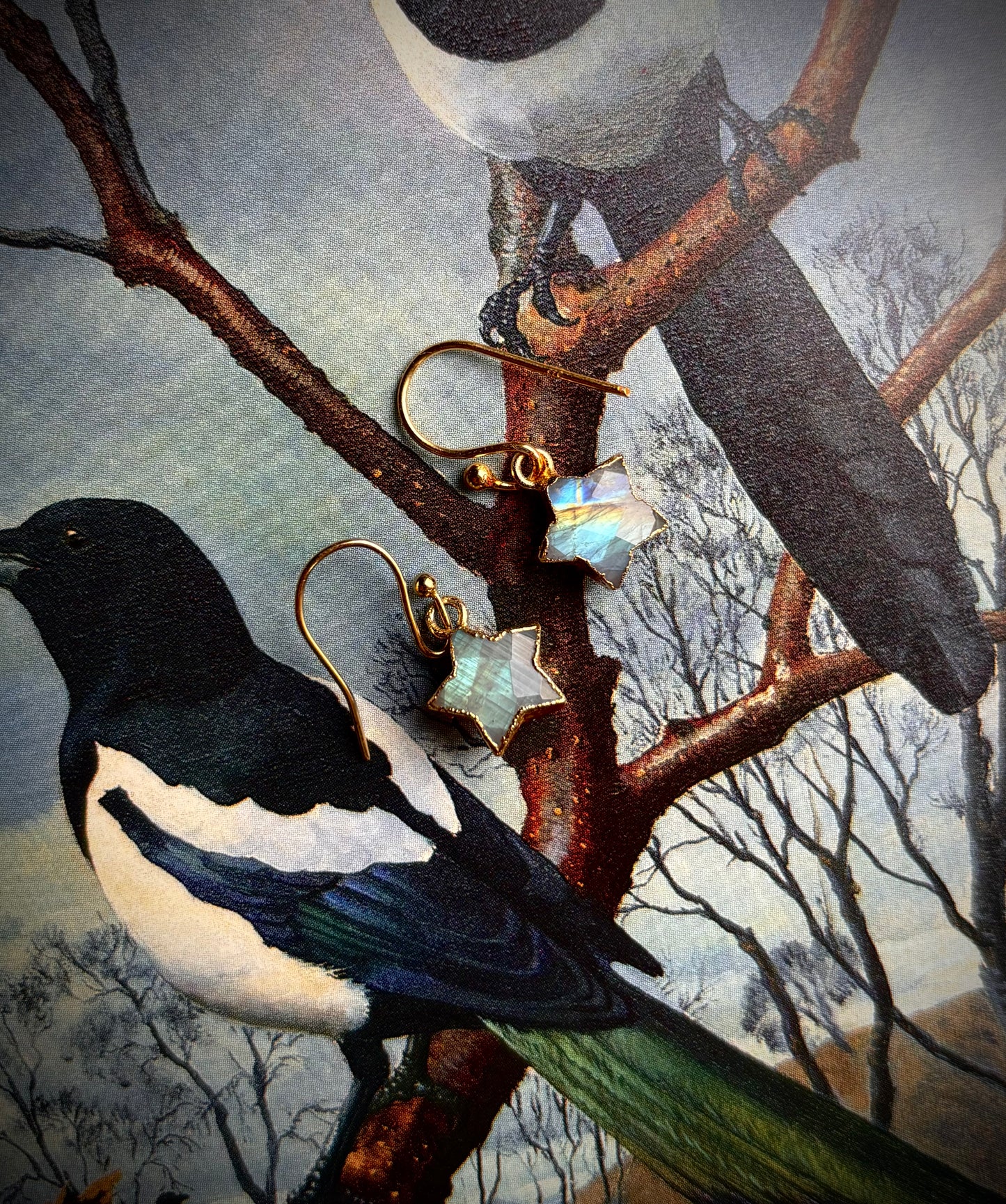 Rainbow Moonstone Star Jewellery