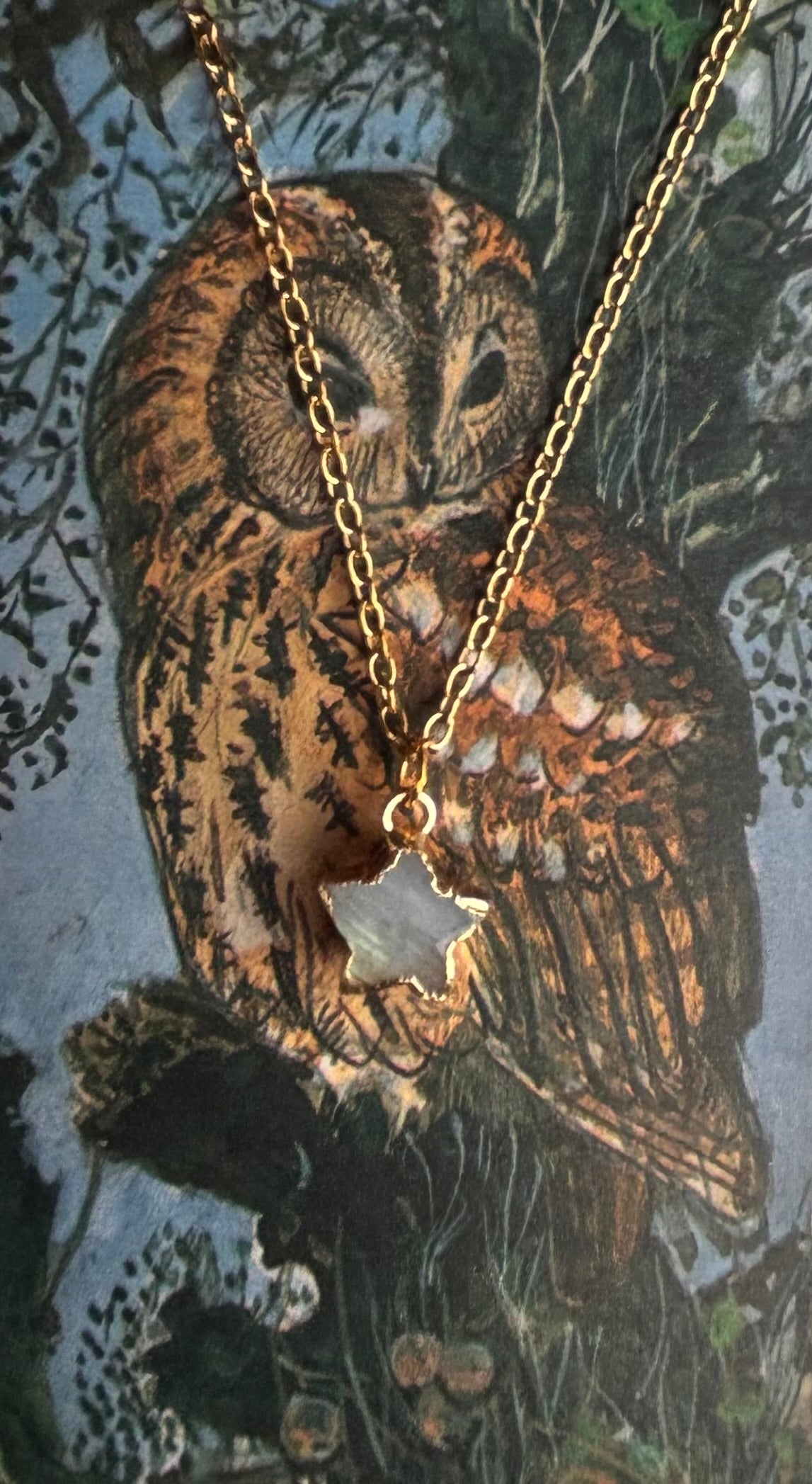 Rainbow Moonstone Star Jewellery