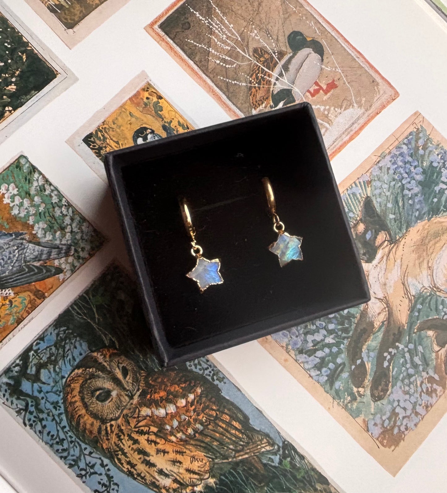 Rainbow Moonstone Star Jewellery