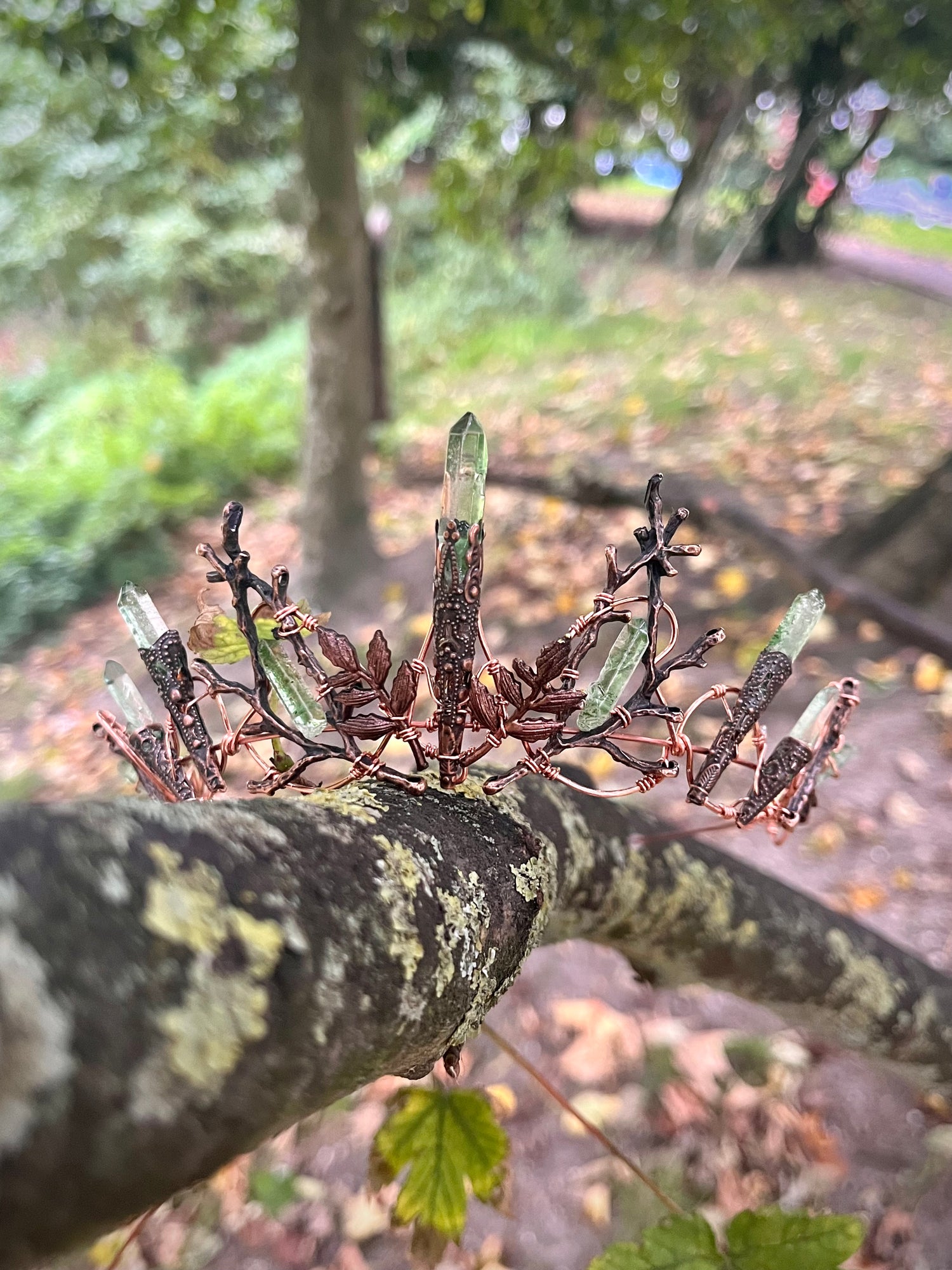 Hedgerow